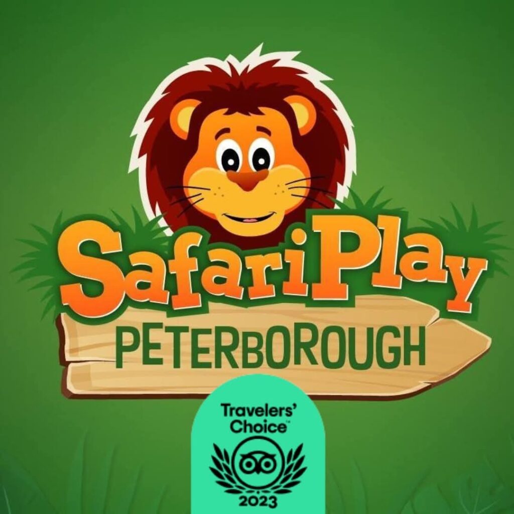 Safari Play Peterborough