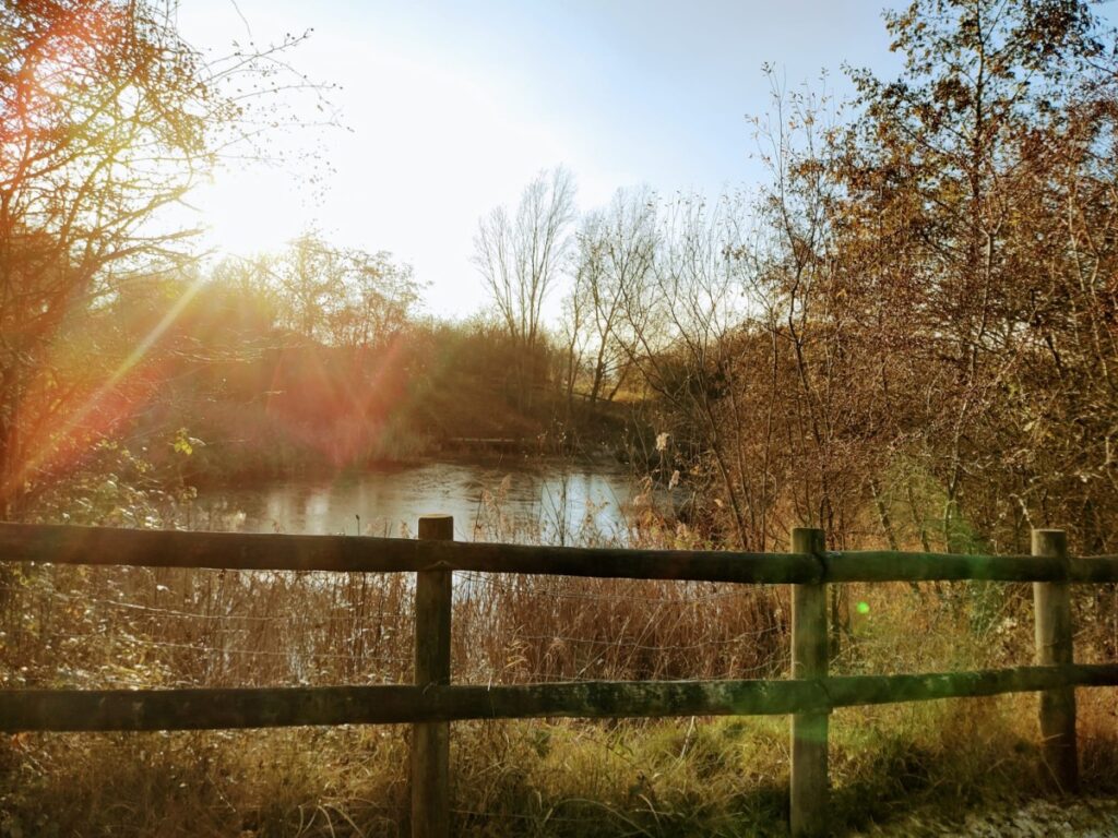 Fermyn Woods Country Park